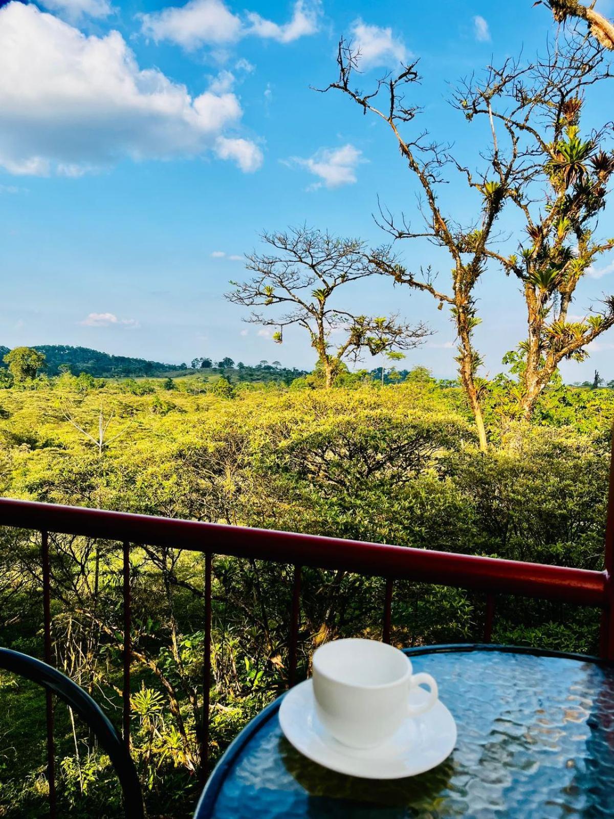 Garza Del Sol Glamping Rio Celeste Buganvilia Exterior foto