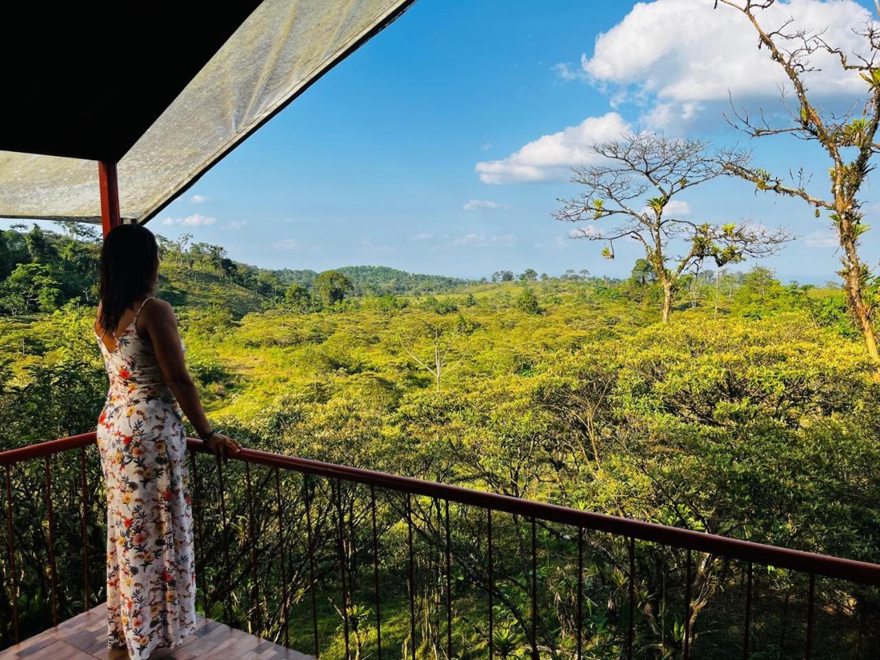 Garza Del Sol Glamping Rio Celeste Buganvilia Exterior foto